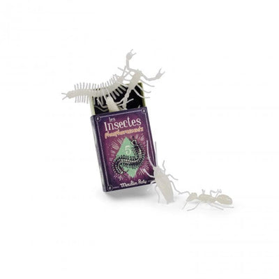 5 insectes phosphorescents Les Petites Merveilles - MOULIN ROTY 711393 3575677113935