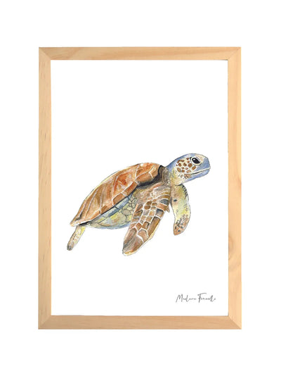 Aquarelle en cadre Sam Tortue - Marlene Fancelli Art sam 1234512352