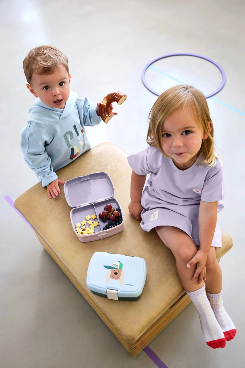 Boite à goûter tiny team chat - LASSIG 12100367043 4066239172501