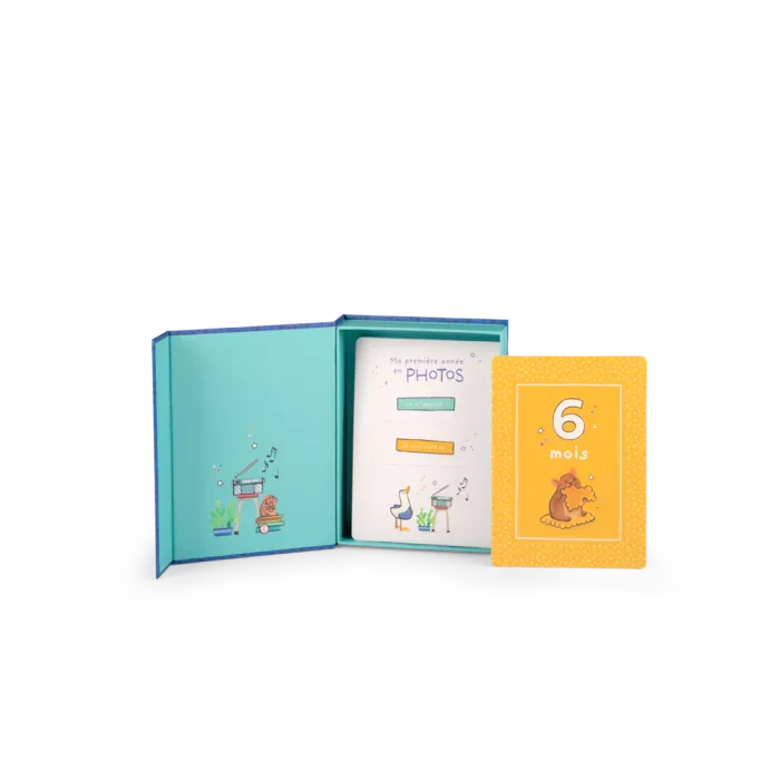 Cartes mes 12 premiers mois Puce et Pilou - Moulin Roty 684055 3575676840559