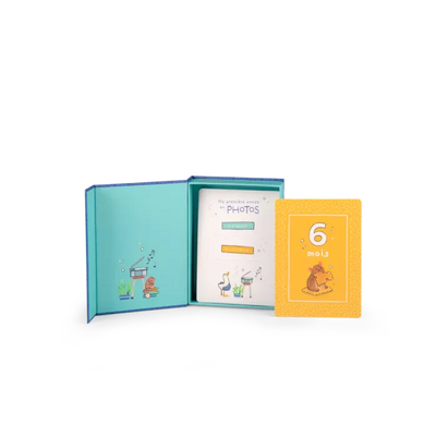 Cartes mes 12 premiers mois Puce et Pilou - Moulin Roty 684055 3575676840559