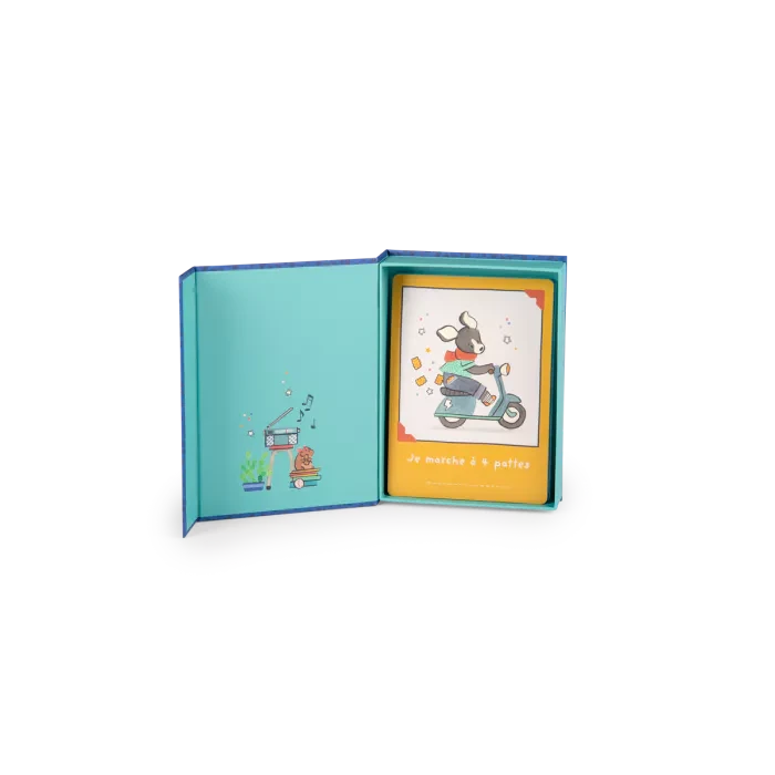 Cartes mes 12 premiers mois Puce et Pilou - Moulin Roty 684055 3575676840559