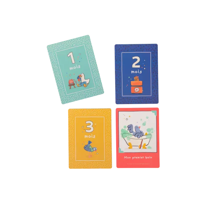 Cartes mes 12 premiers mois Puce et Pilou - Moulin Roty 684055 3575676840559