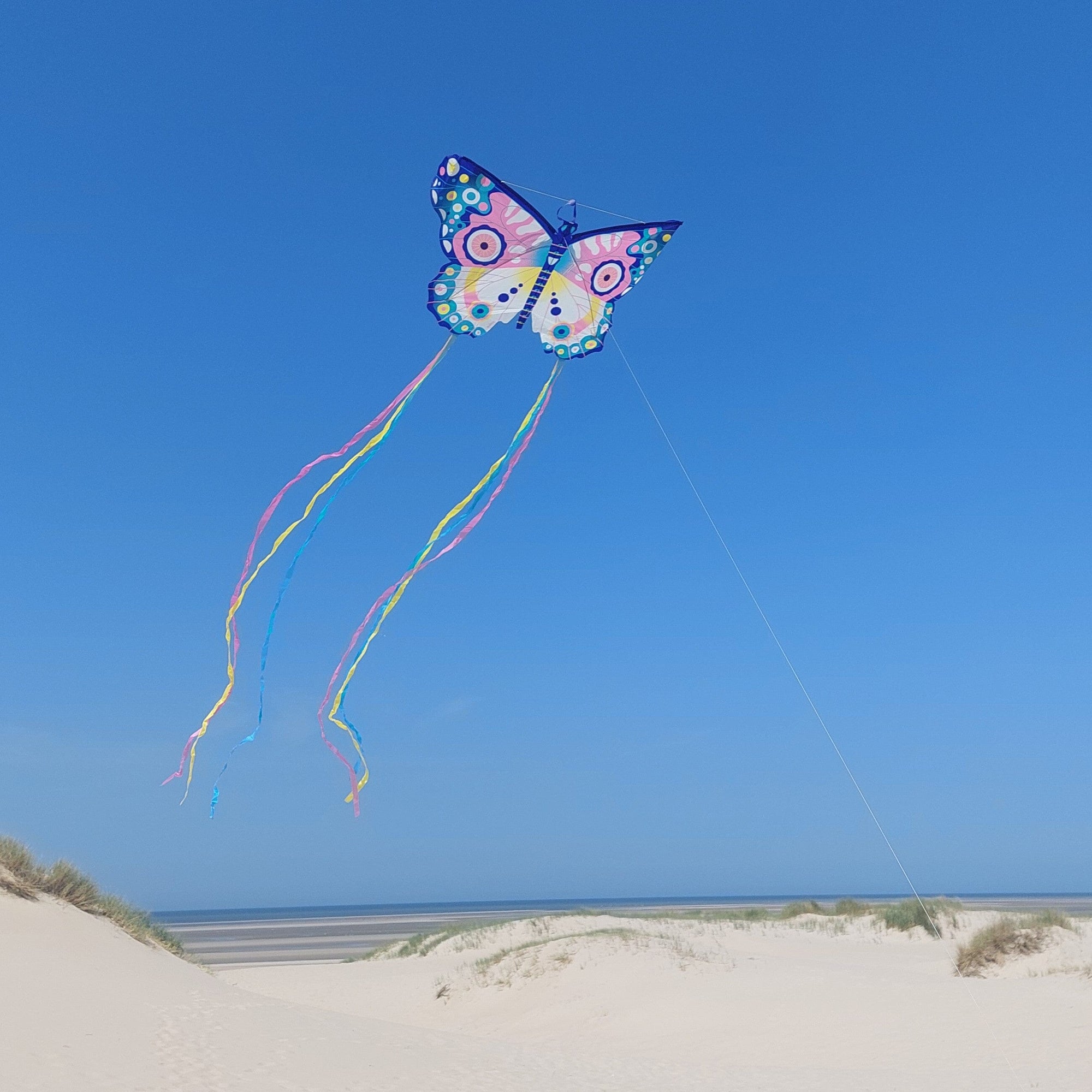cerf-volant Maxi Butterfly - DJECO