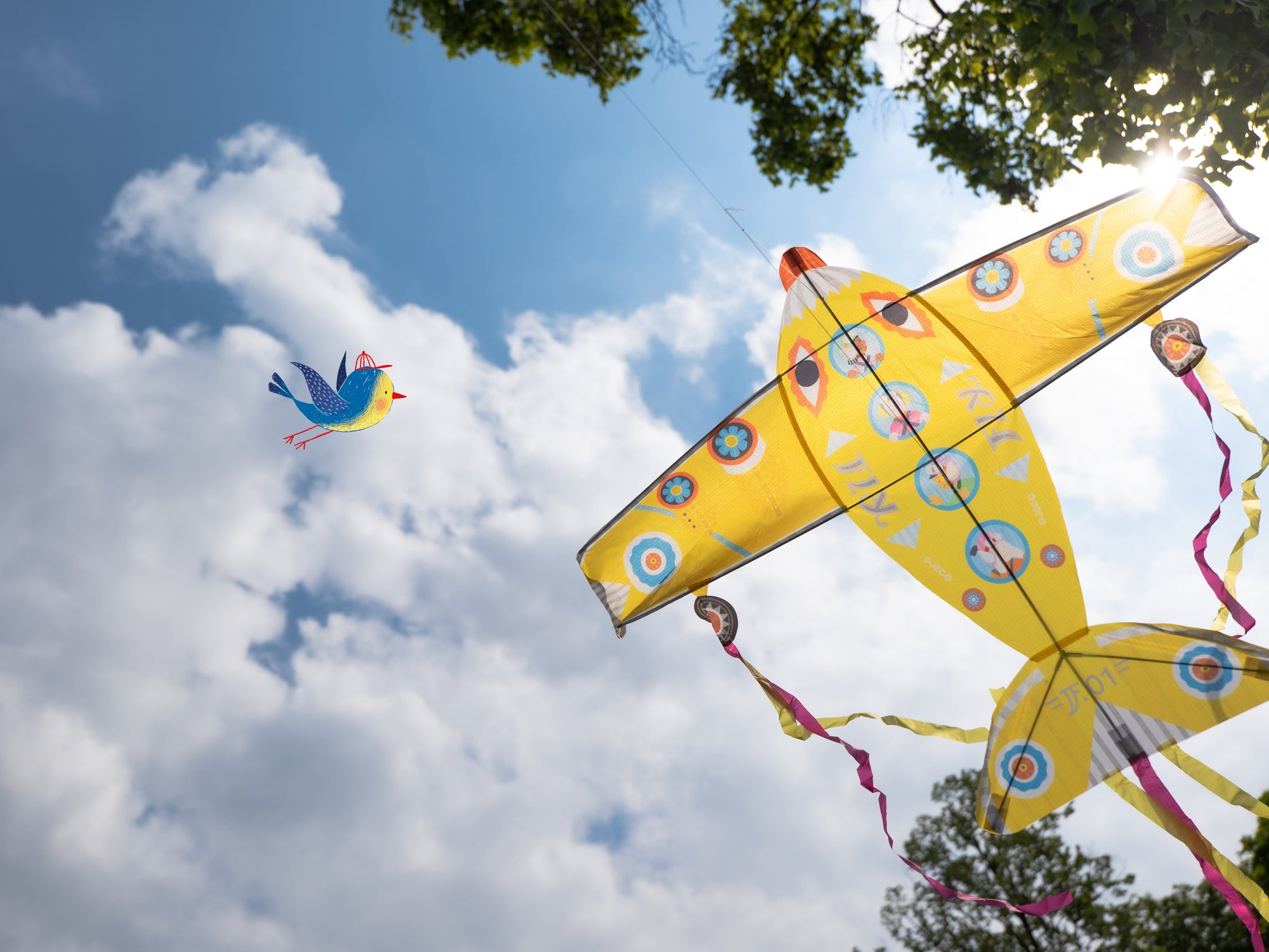 cerf-volant maxi plane - DJECO