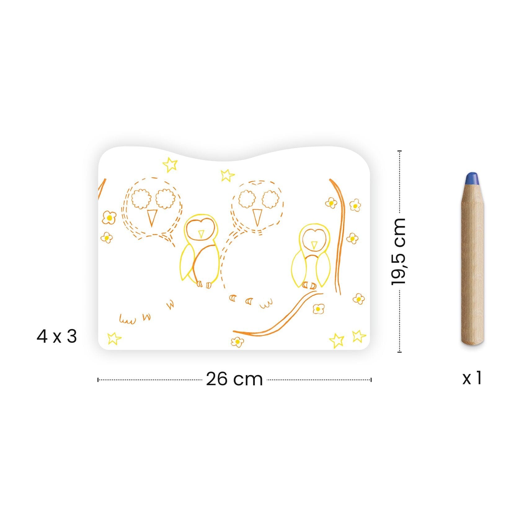 COLORIAGE MAGIQUE Familles des sous-bois - DJECO DJ00064 3070900000643