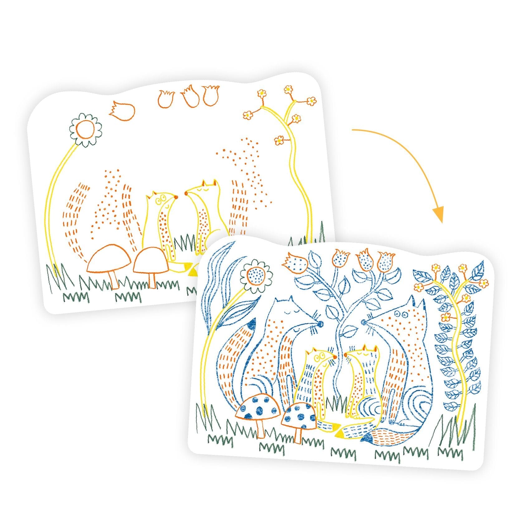 COLORIAGE MAGIQUE Familles des sous-bois - DJECO DJ00064 3070900000643