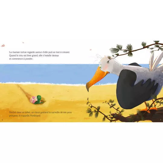 Ferdinand le papa goéland - AUZOU 9782733892497 9782733892497