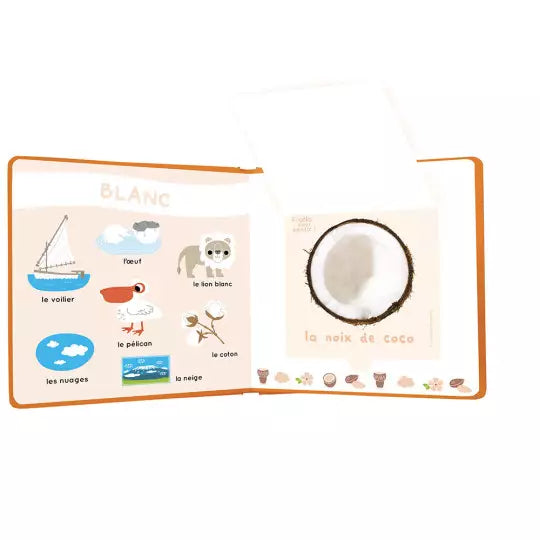 mon livre des odeurs et des couleurs le monde - AUZOU 9782733839935