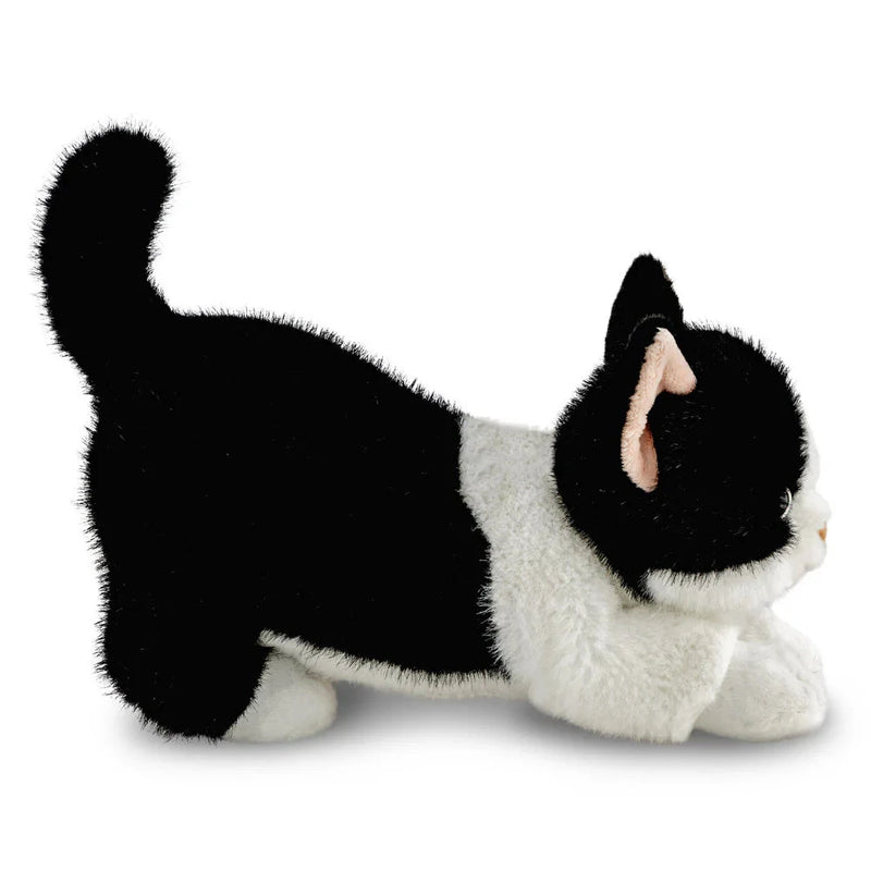 peluche borealis chat domino tuxedo - AURORA 61613 5034566616134