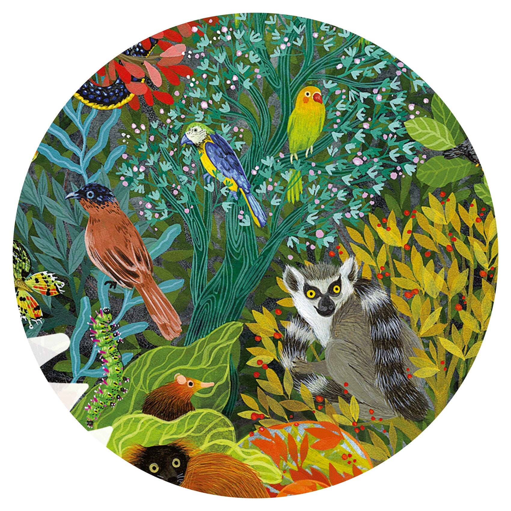 puzzle chameleon - DJECO DJ07655 3070900076556