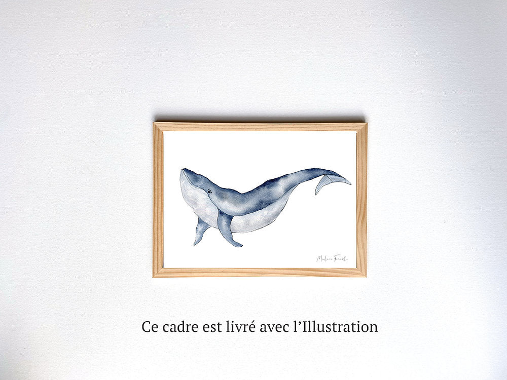 Aquarelle en cadre Dani Baleine - Merlene Fancelli Art dani 1234512353