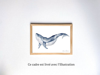 Aquarelle en cadre Dani Baleine - Merlene Fancelli Art dani 1234512353