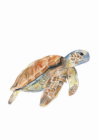 Aquarelle en cadre Sam Tortue - Merlene Fancelli Art sam 1234512352