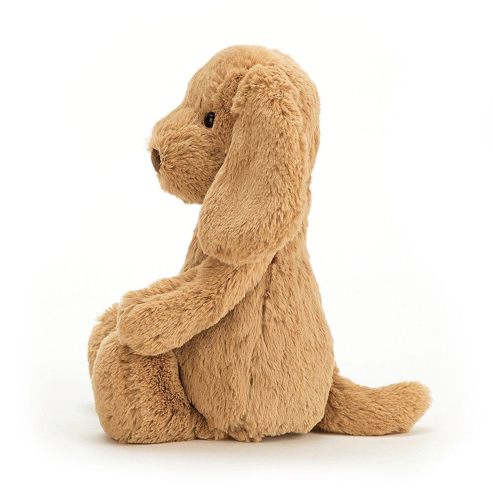 Peluche chiot Bashful Toffee Puppy small - JELLYCAT BASS6TPUS 670983082906