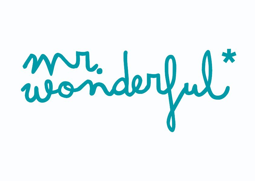 MR. WONDERFUL