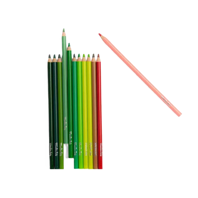 12 crayons de couleur + cartes Le Botaniste - MOULIN ROTY 712615 3575677126157