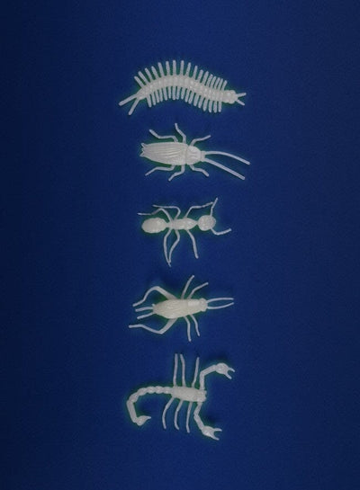 5 insectes phosphorescents Les Petites Merveilles - MOULIN ROTY 711393 3575677113935