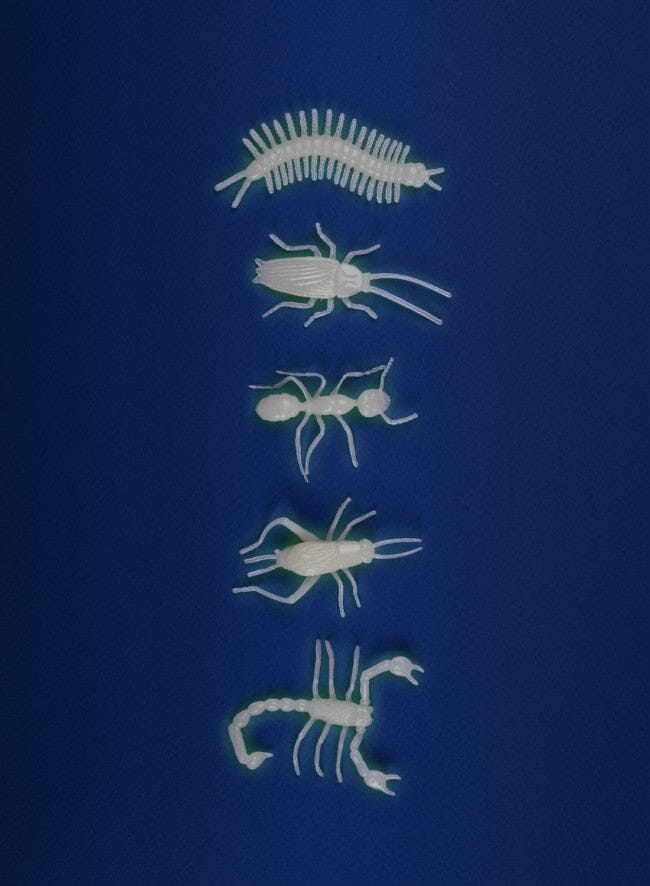 5 insectes phosphorescents Les Petites Merveilles - MOULIN ROTY 711393 3575677113935