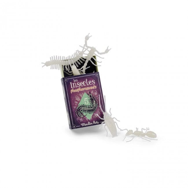 5 insectes phosphorescents Les Petites Merveilles - MOULIN ROTY 711393 3575677113935