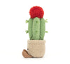 Amuseable Moon Cactus - JELLYCAT A6MCA 670983151923