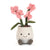 Amuseables Pink Orchid - JELLYCAT A2OCH 670983161762