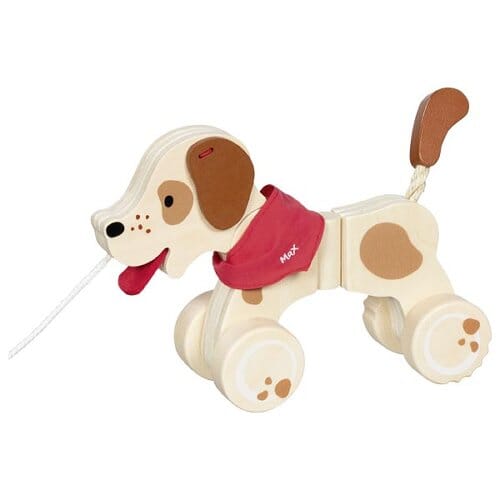 Chien à tirer Max goki en situation de jeu