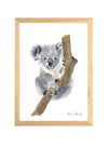 Aquarelle en cadre Eli Koala a4 - Marlene Fancelli Art eli 1234512346