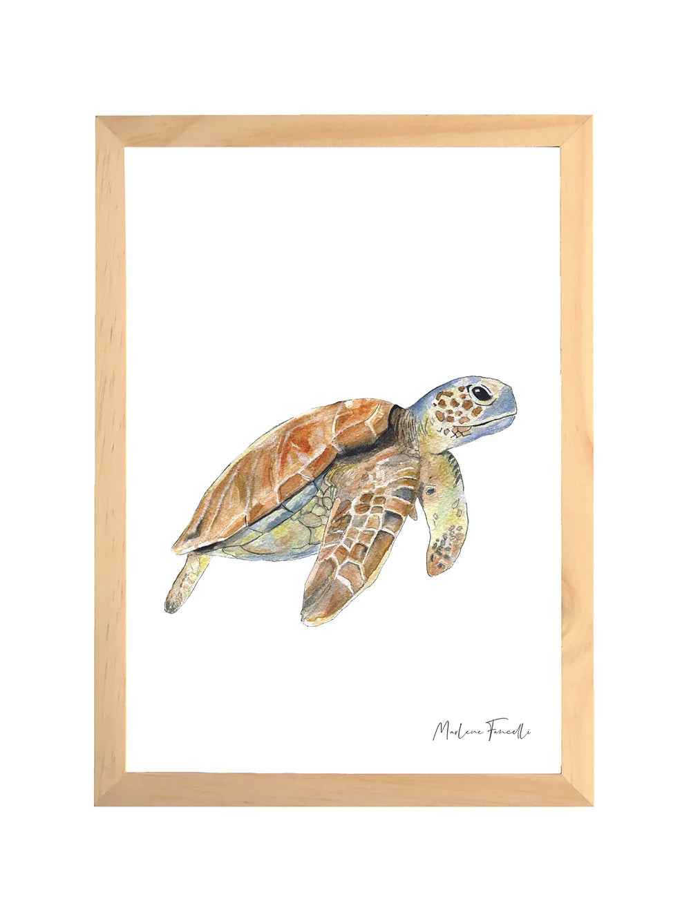 Aquarelle en cadre Sam Tortue - Marlene Fancelli Art sam 1234512352