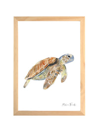 Aquarelle en cadre Sam Tortue - Marlene Fancelli Art sam 1234512352
