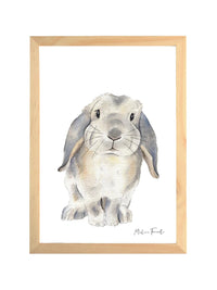 Aquarelle en cadre Zoupi Lapin Bélier - Marlene Fancelli Art Zoupi 1234512366