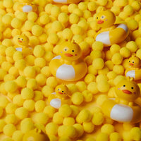 Balle flottante canards- PETIT BOUM PBHBDUCK 8425402857748