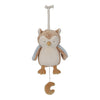 Boîte à musique hibou Forest Friends - LITTLE DUTCH LD8906 8713291889064