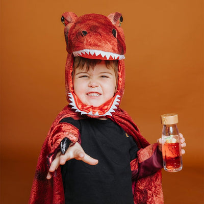 Bouteille sensorielle move T-Rex- PETIT BOUM PBMTREX 8425402857786