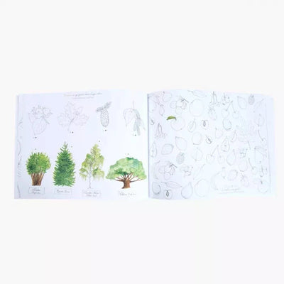 Cahier d'activités Dans mon jardin - MOULIN ROTY 712601 3575677126010
