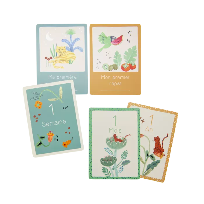 Cartes Mes 12 premiers mois la fôret Mawa (30 cartes) - Moulin Roty 