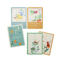 Cartes Mes 12 premiers mois la fôret Mawa (30 cartes) - Moulin Roty