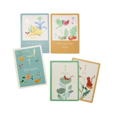 Cartes Mes 12 premiers mois la fôret Mawa (30 cartes) - Moulin Roty
