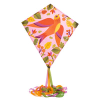 cerf-volant birdy - DJECO