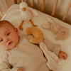 Coffret cadeau oie - LITTLE DUTCH LD8415 8713291884151