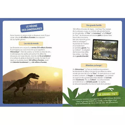Coffret livre et aimants à la découverte des dinosaures AUZOU 9791039525060 9791039525060