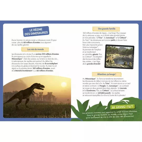 Coffret livre et aimants à la découverte des dinosaures AUZOU 9791039525060 9791039525060