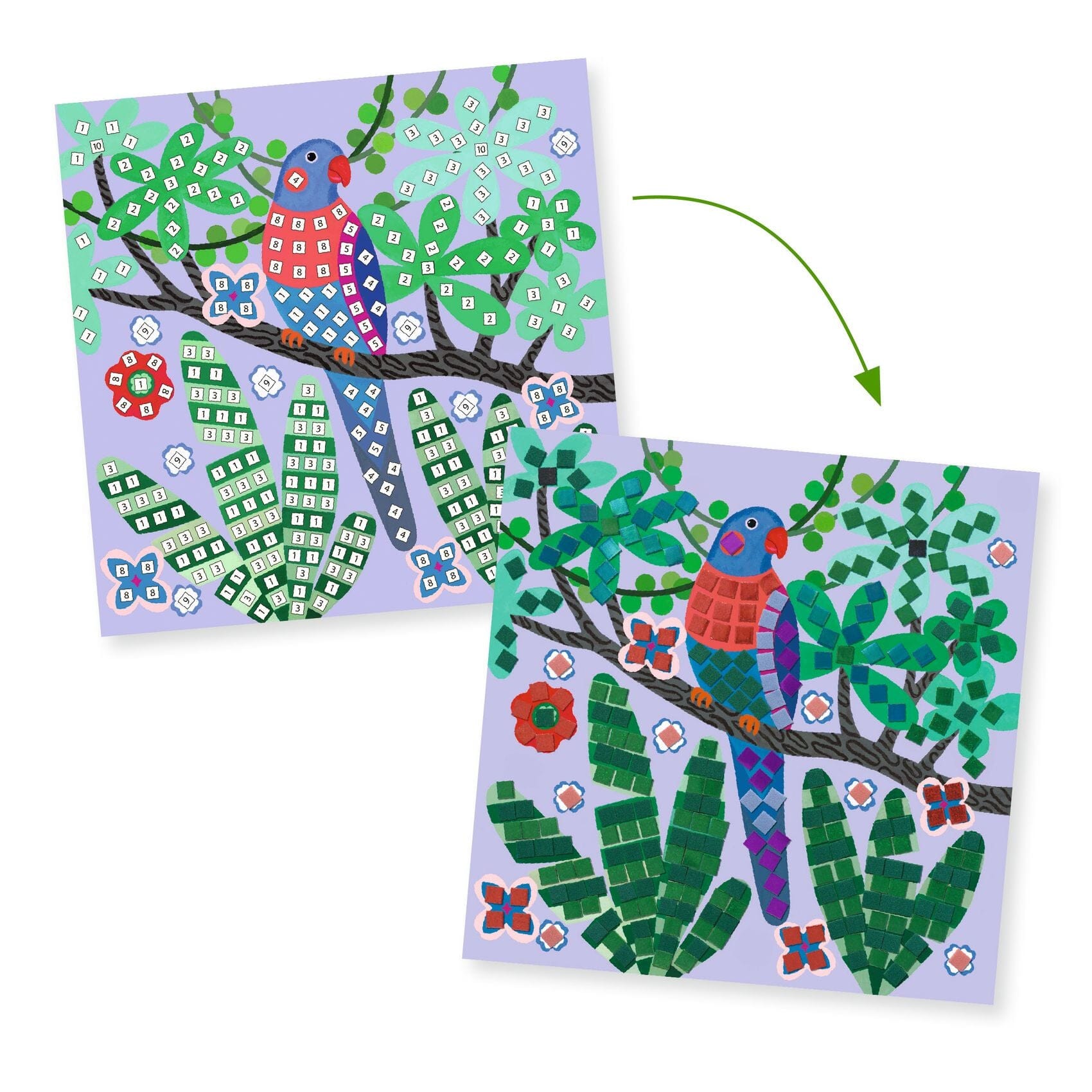 coffret mosaique canopée - DJECO