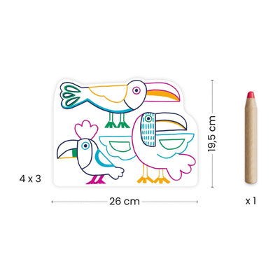 COLORIAGE MAGIQUE Familles sauvages - DJECO DJ00066 3070900000667
