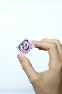 Cubes lumineux violets Lila - GLO PALS GPLILACUB 850016823106