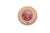 donut sensoriel pasteque - PETIT BOUM PBSDWAT 8425402857618