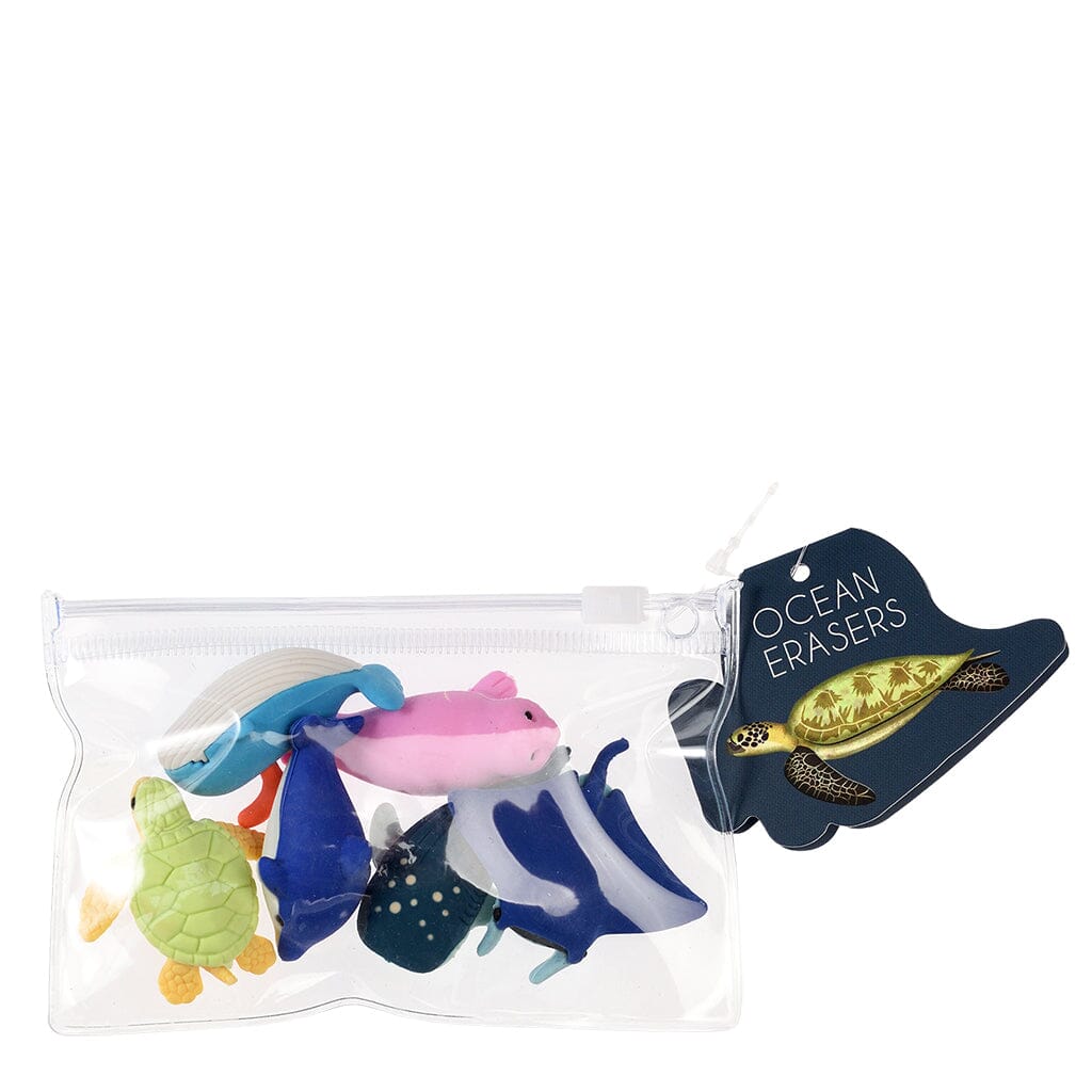 gommes ocean set de 6 - REX LONDON 29992 5027455442501