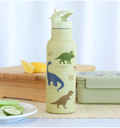 Gourde isotherme DINO 500ml - A LITTLE LOVELY COMPANY DBSXDI75