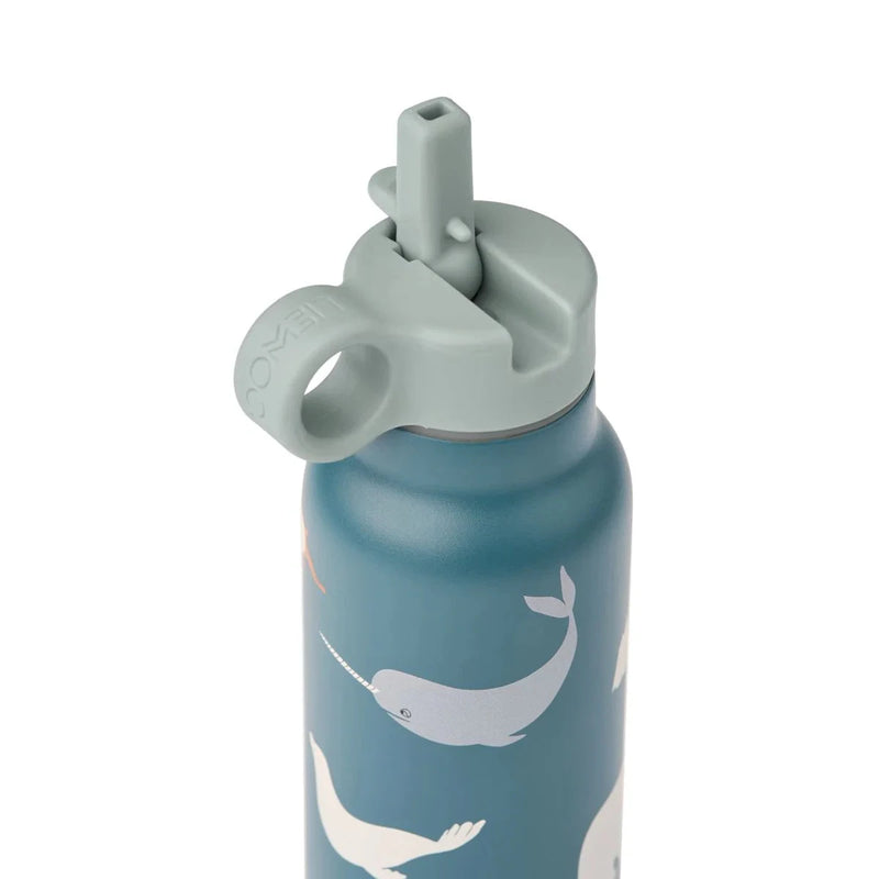 Gourde isotherme Falk Oceanview 350ml - LIEWOOD LW19617 2501 5715493474874