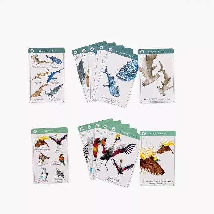 Jeu de 7 familles des espèces Tout autour du monde - Moulin Roty 719362 3575677193623